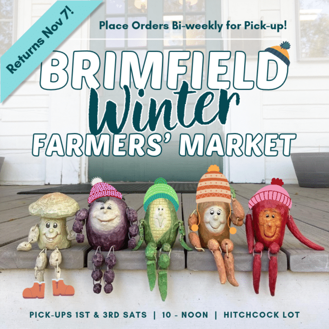Winter Market Returns